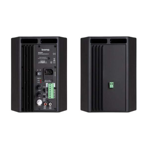 Громкоговоритель Biamp SDQ5P