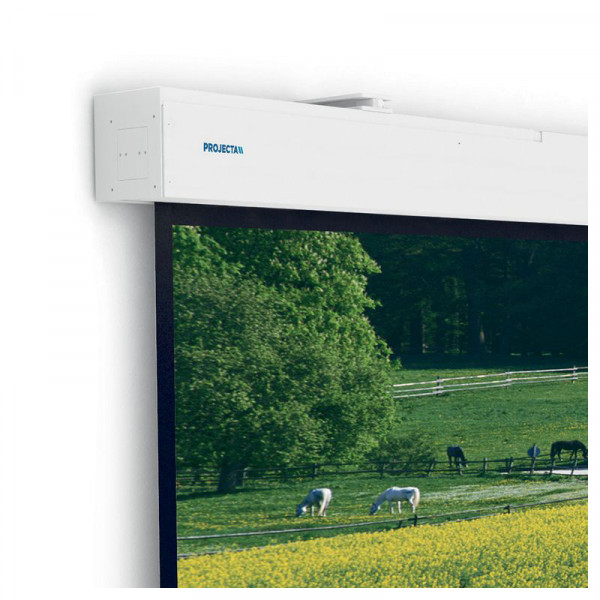 Экран с электроприводом Projecta Elpro Large Electrol, 176"