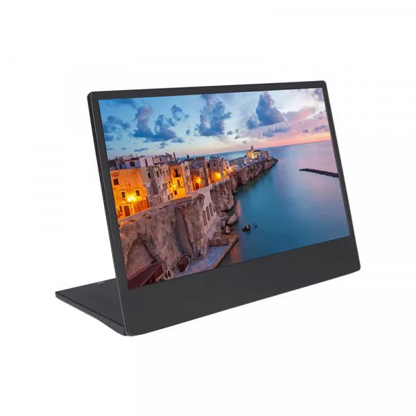Портативный монитор GeChic M505E