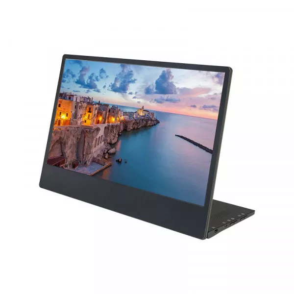 Портативный монитор GeChic M505E