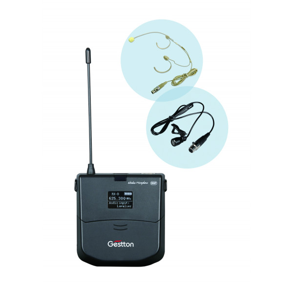 Двухканальная беспроводная микрофонная система UHF с технологией разнесенного приема True Diversity Gestton TM-910D