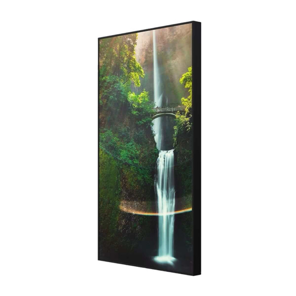 Витринный информационный дисплей Hisense 55" 55WH80E