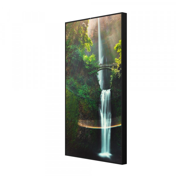 Витринный информационный дисплей 55" Hisense 55WH80F