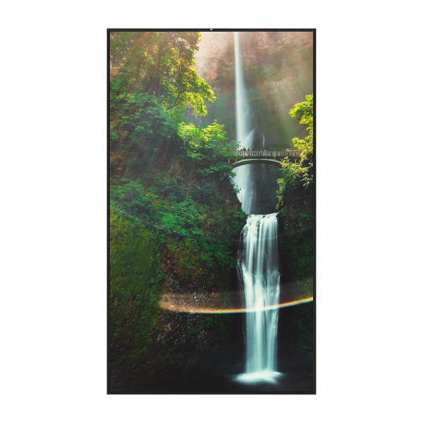 Витринный информационный дисплей 55" Hisense 55WH80F