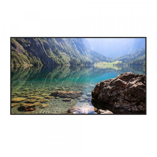 Витринный информационный дисплей 55" Hisense 55WH80F