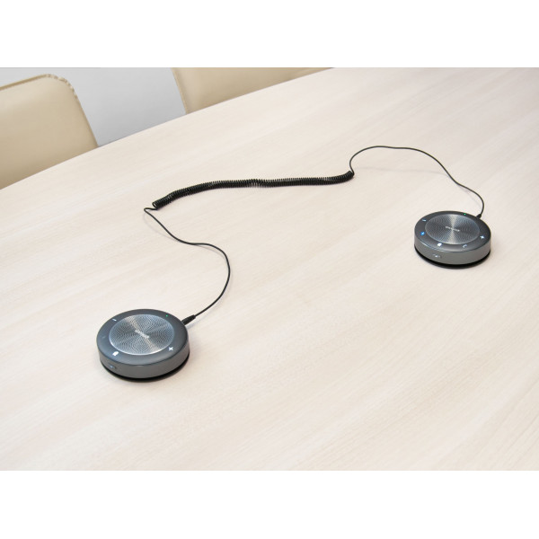 Комплект спикерфонов SmartSet Maxhub BM21 DUAL для средней переговорной