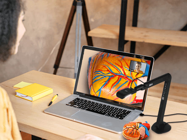 Какие они бывают и на что смотреть при выборе?