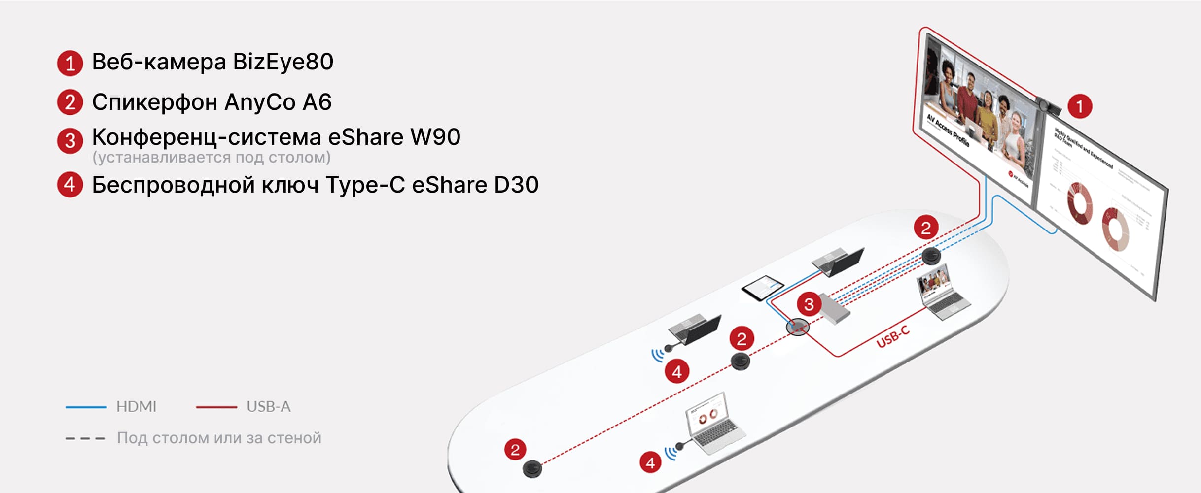 AV Access eShare BizEye80 + AnyCo A6 + eShare W90 + D30