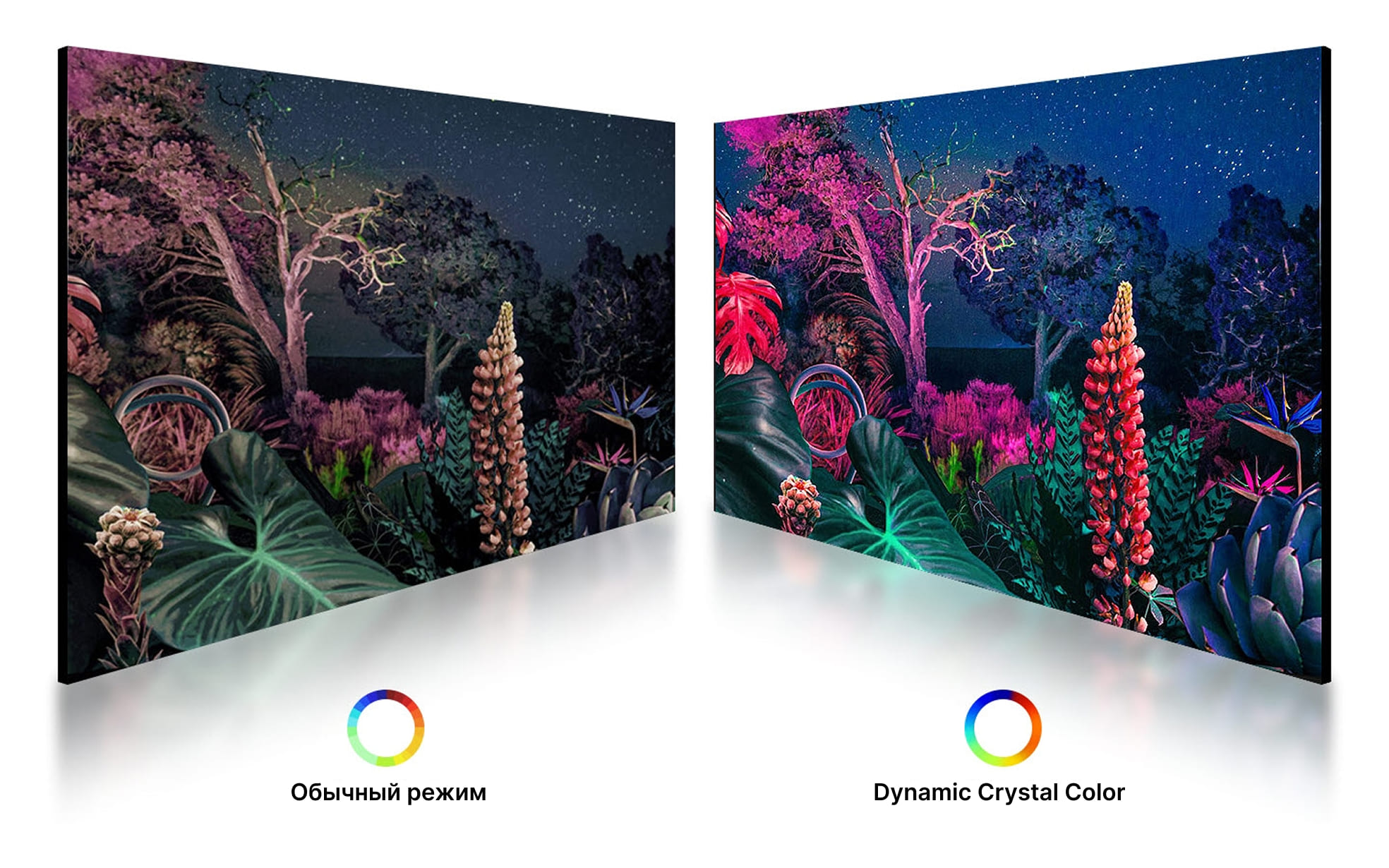 Оцените естественную цветопередачу