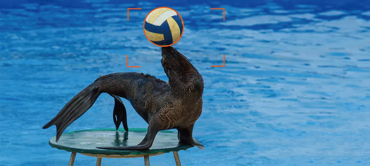 Отслеживание любых объектов