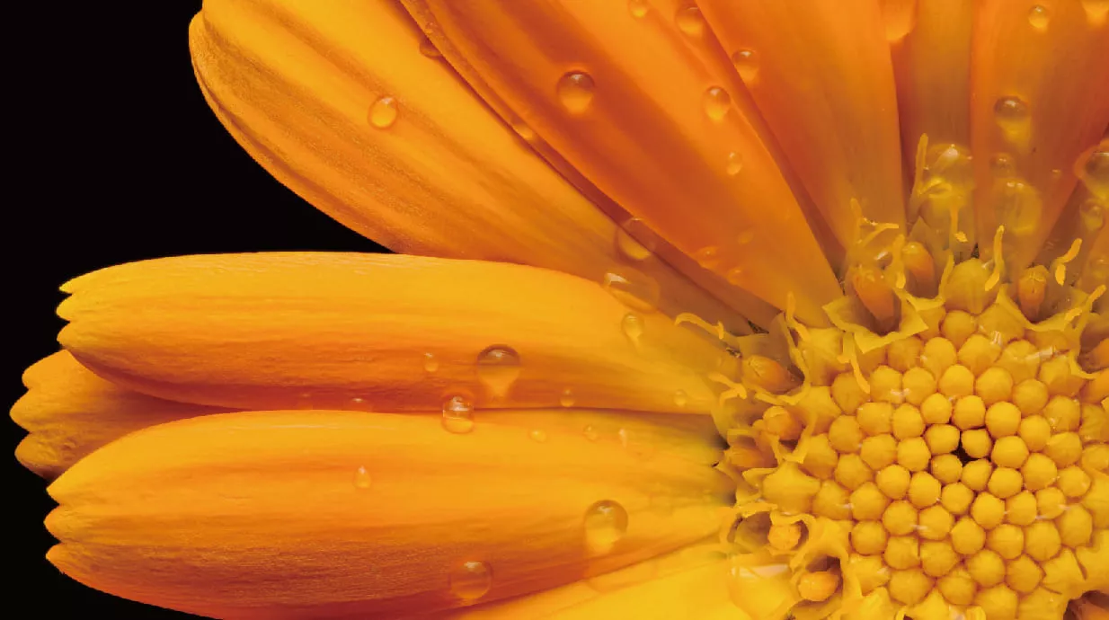 Превосходная текстура и детализация