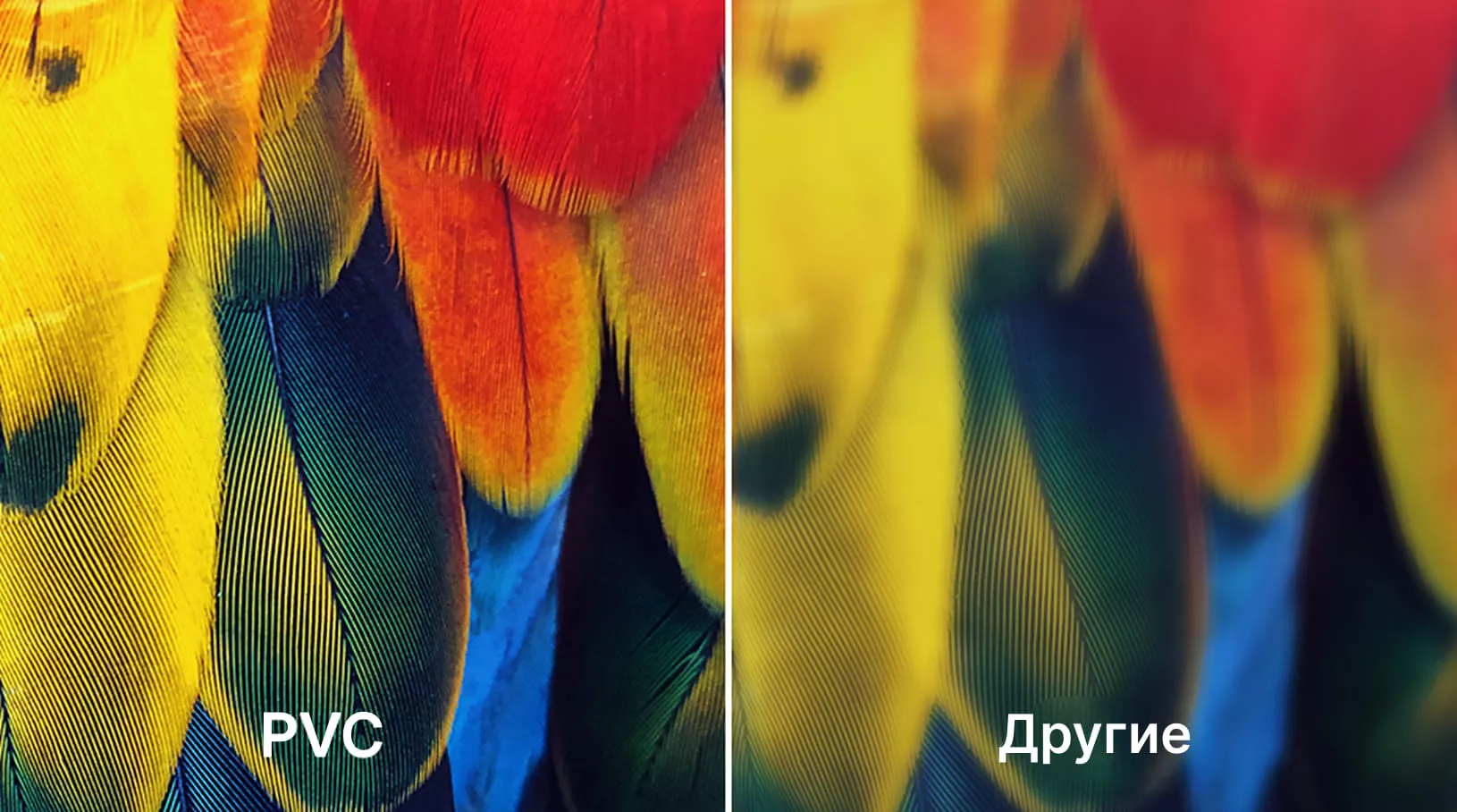 Изображение сверхвысокой четкости